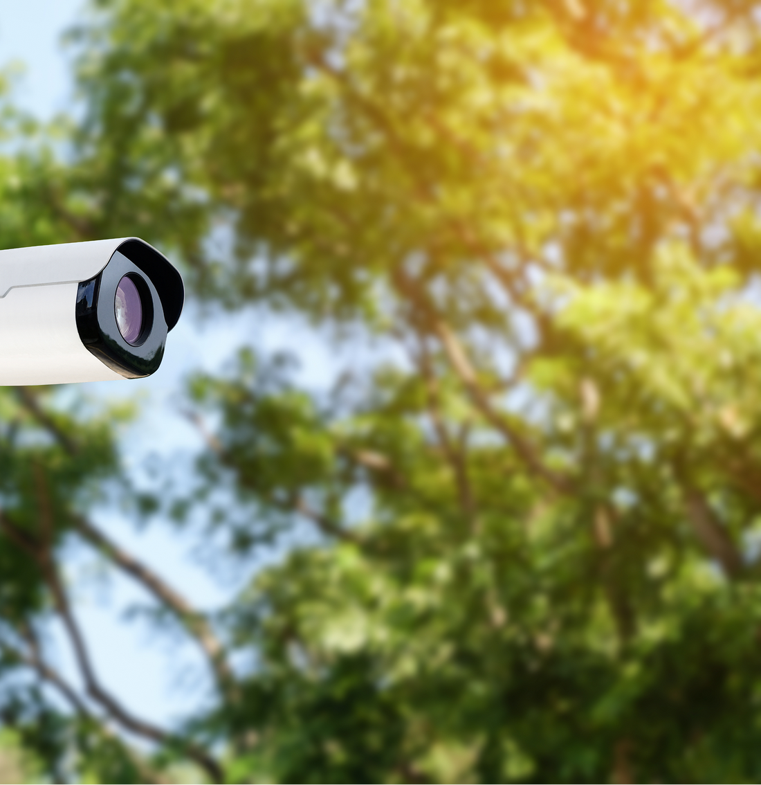 The Future of Technology: Trends to Watch in 2025